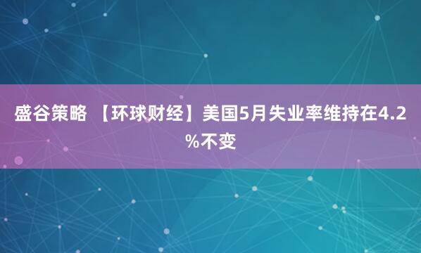 盛谷策略 【环球财经】美国5月失业率维持在4.2%不变