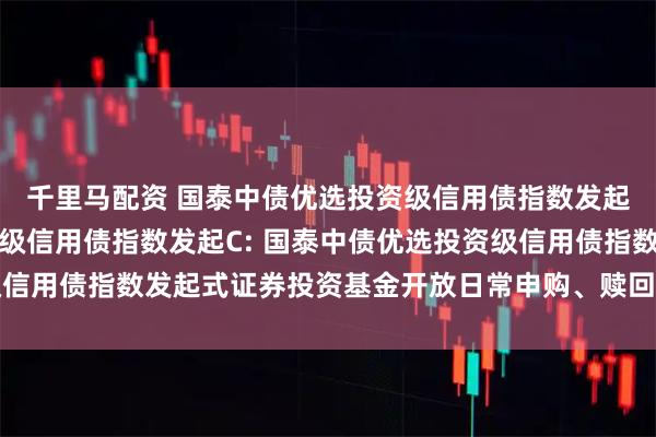 千里马配资 国泰中债优选投资级信用债指数发起A,国泰中债优选投资级信用债指数发起C: 国泰中债优选投资级信用债指数发起式证券投资基金开放日常申购、赎回及转换业务的公告