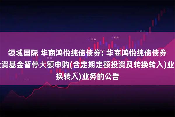领域国际 华商鸿悦纯债债券: 华商鸿悦纯债债券型证券投资基金暂停大额申购(含定期定额投资及转换转入)业务的公告