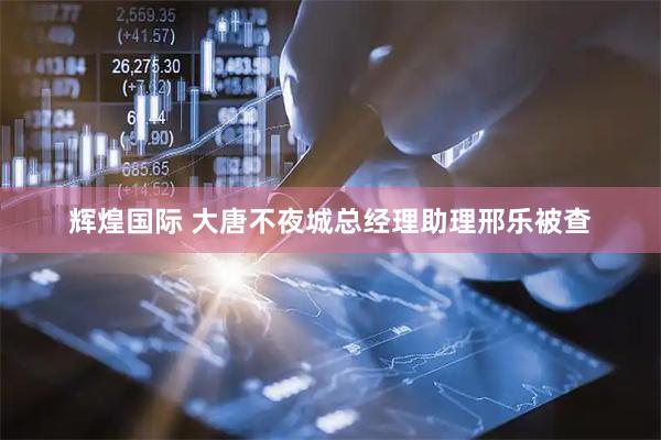 辉煌国际 大唐不夜城总经理助理邢乐被查